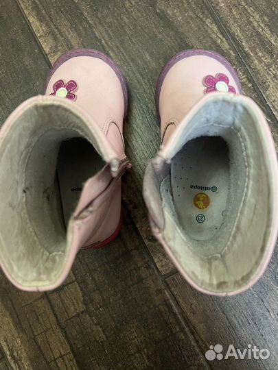 Сапоги antilopa