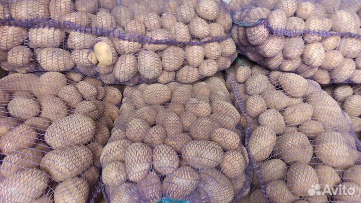 Продам картофель с бесплатной доставкой