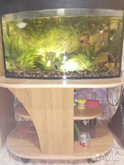 Аквариум Большой со столом и фильтром