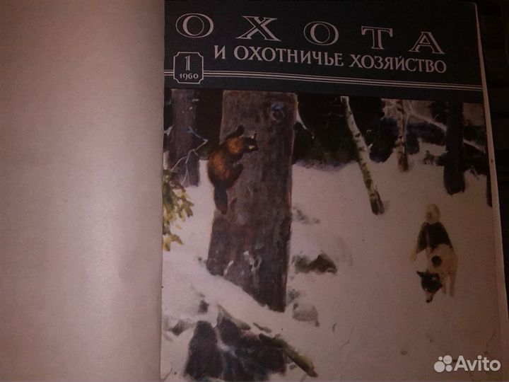 Охота,рыбалка. Кролиководство