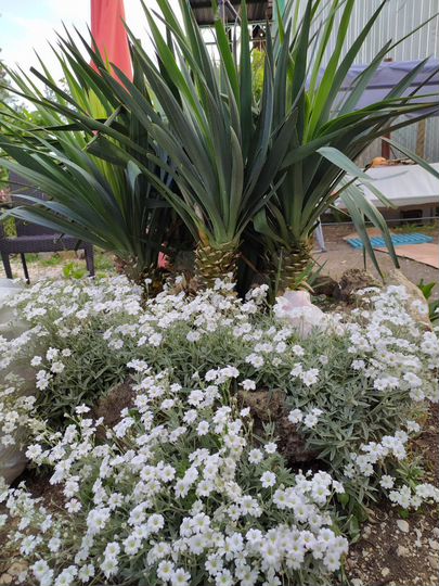 Дом 40 м² на участке 4,5 сот.