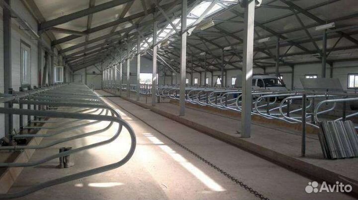 Стойловое оборудование для крс