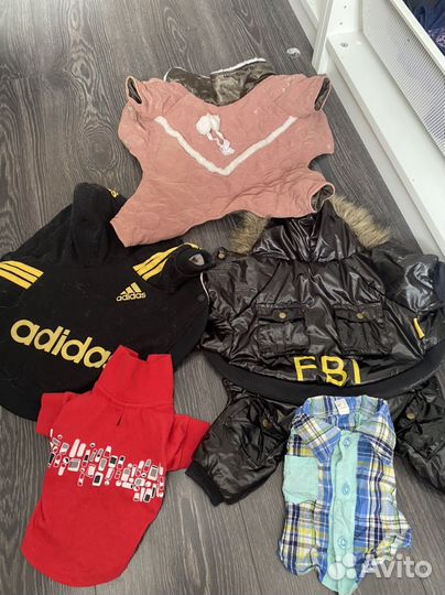 Одежда для собак мелких пород