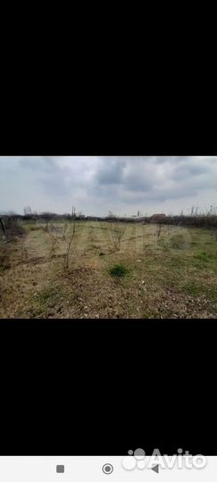 Участок 9суток