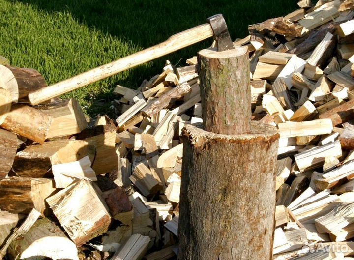 Дрова свежие