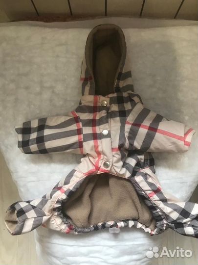 Одежда для собак мелких пород