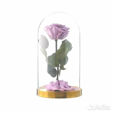 Живая роза в колбе