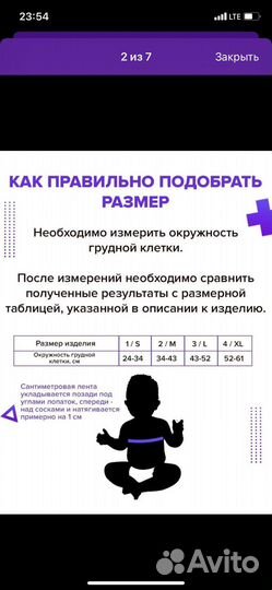 Стремена Павлика