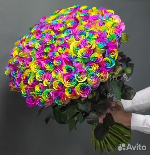 Розы высокие 150см