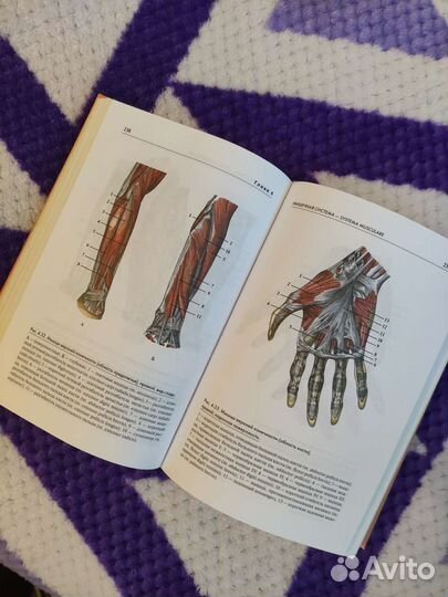 Атлас анатомии человека Р.П. Самусев