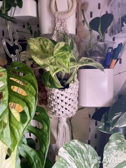 Макраме подвесное для растений