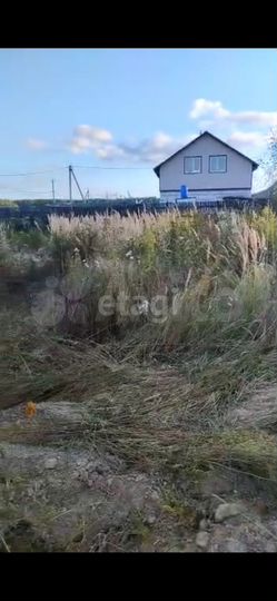 Участок 6 сот. (СНТ, ДНП)