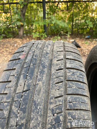 Cordiant Sport 205/55 R16
