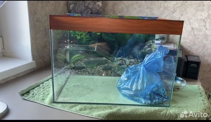 Аквариум