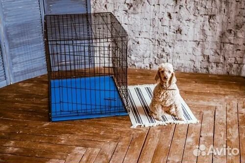 Клетка вольер для собак 93х67