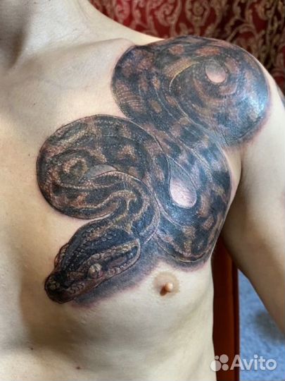 Мастер тату Владимир