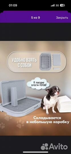 Лоток для собак мелких пород