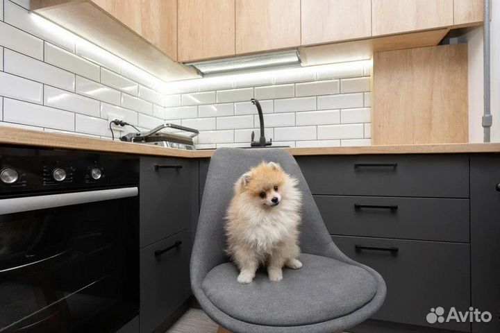 Кухонный гарнитур эмаль. Прямая кухня ars 9109