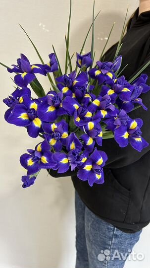 Цветы. Букет из весенних ирисов от
