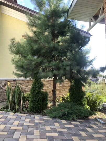 Коттедж 440 м² на участке 15 сот.