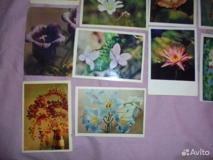 Цветы изд.Правда 1960-1988 гг чистые