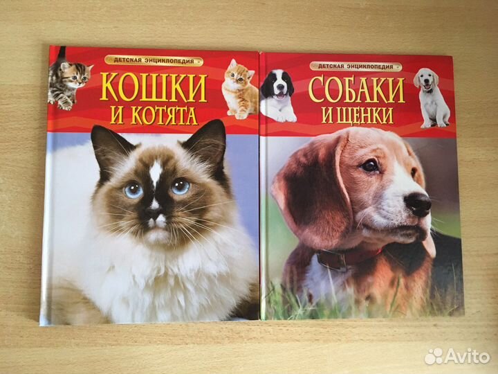 Детская энциклопедия