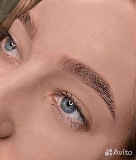 Мастер-бровист