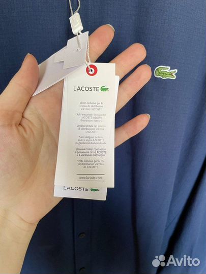 Рубашка мужская lacoste M, L, XL, XXL, xxxl