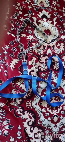 Строгий ошейник с мощным поводком