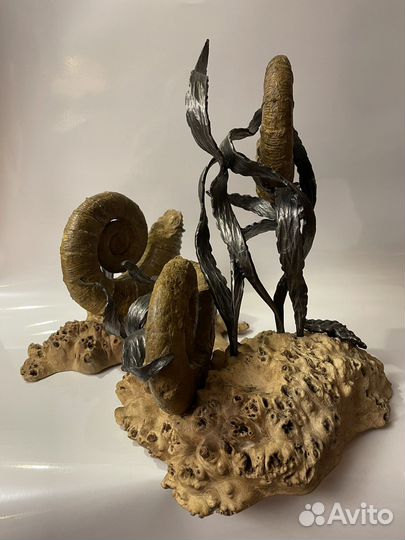 Авторская палеонтологическая инсталляция. Аммониты