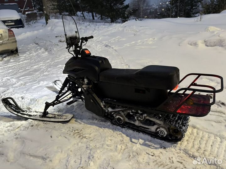 Dingo 125