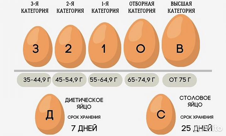 Домашние куриные яйца