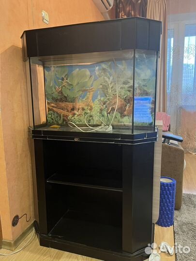 Аквариум с тумбой