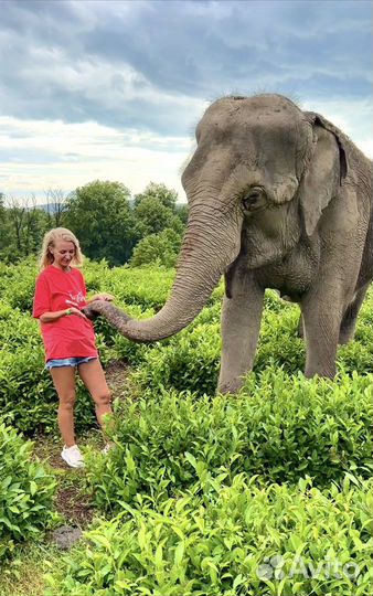 Экскурсии Сочи (индивидуально)