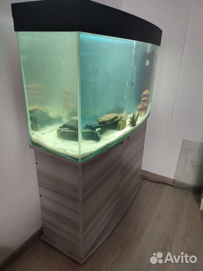 Аквариум с тумбой 200 л б/у
