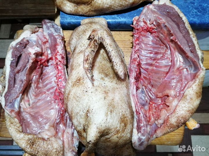 Мясо утка, гусь, курица