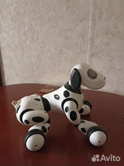 Собака робот Зумер