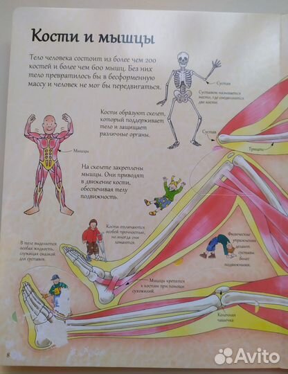 Книга с окошками 