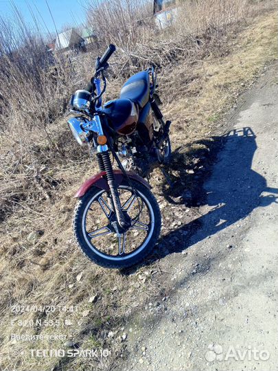 Альфа GS 110