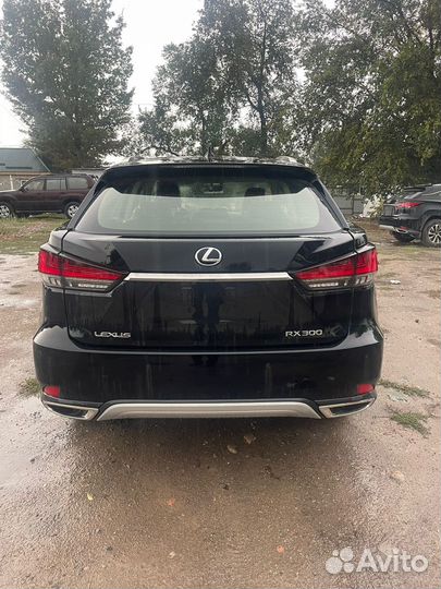 Lexus RX 2 AT, 2022, 34 км