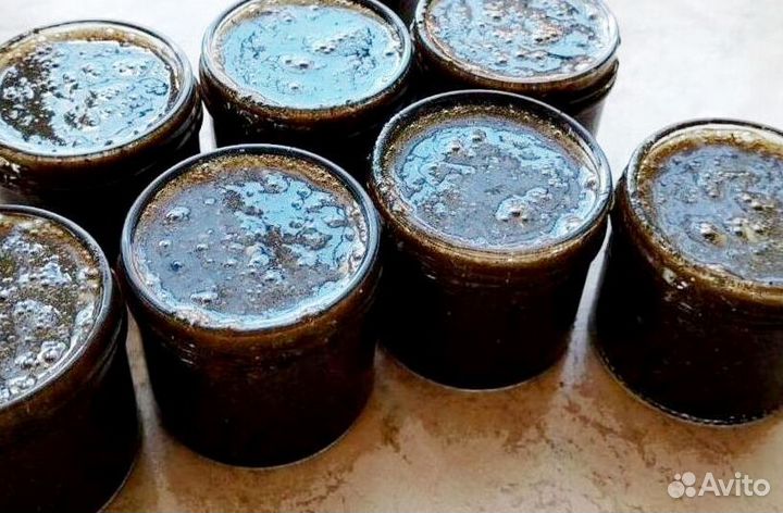 Медовый заряд для потенции