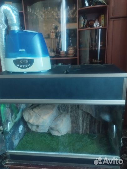 Террариум для рептилий б/у