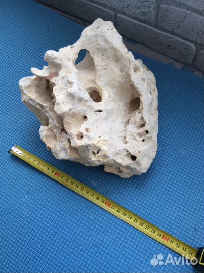 Камени Занзибар рок Кения