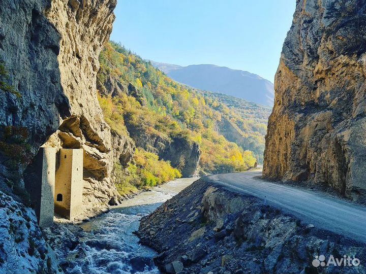 Экскурсия — Грозный — Аргунское ущелье и некрополь