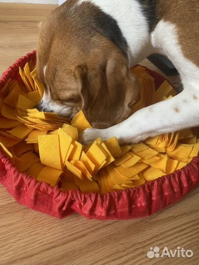 Нюхательный коврик для собаки