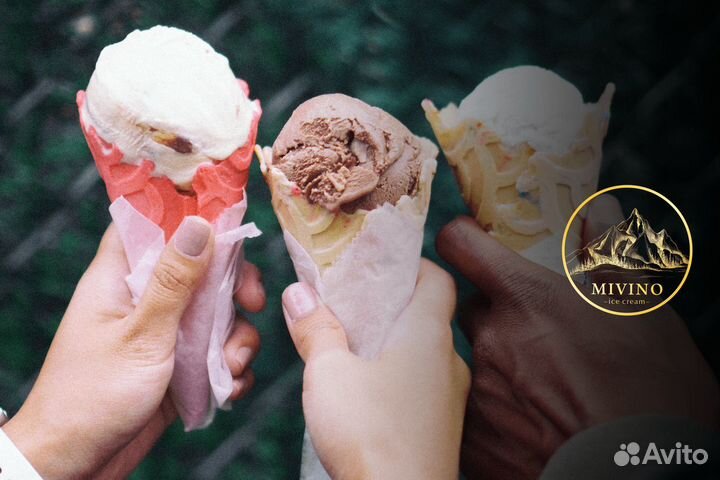 Бизнес сфере крафтового мороженого с 