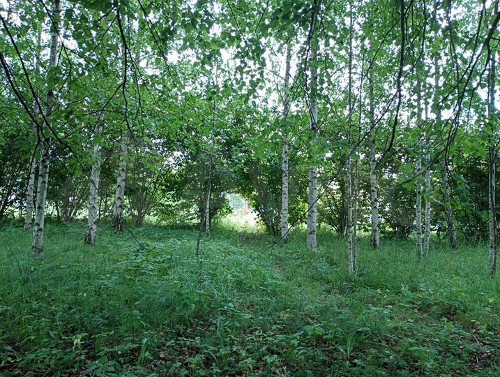 Участок 30,5 сот. (ИЖС)