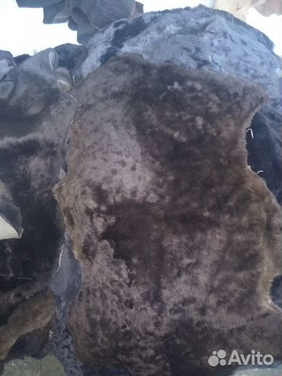 Овечьи шкуры