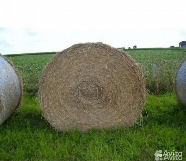 Сено в тюках