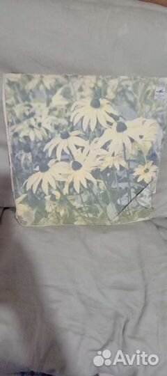 Виниловая пластинка. Лев Барашков